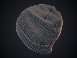 beanie hat 3D 模型
