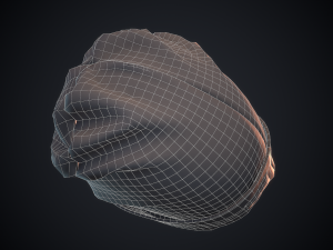 beanie hat 3D 模型