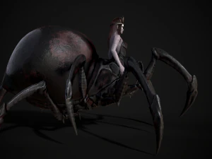spider queen 3D Model