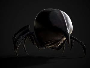 spider queen 3D Model