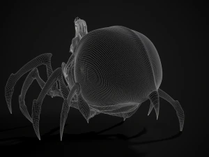 spider queen 3D Model