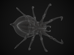 spider queen 3D 模型