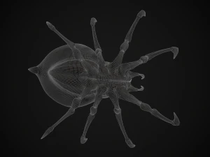 spider queen 3D Model