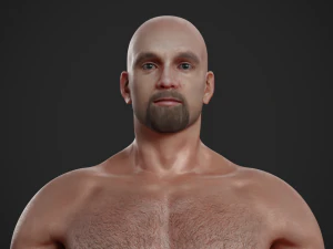 धांधली बनावट वाला नर बेसमेश 3D मॉडल