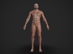 rigged textured male basemesh 3D मॉडल