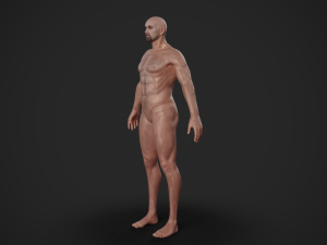 rigged textured male basemesh 3D मॉडल