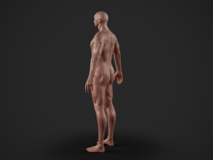rigged textured male basemesh 3D मॉडल