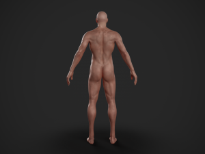 rigged textured male basemesh 3D मॉडल