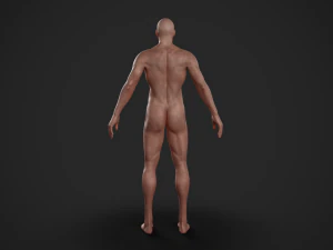 basemesh masculino texturizado manipulado Modelo 3D