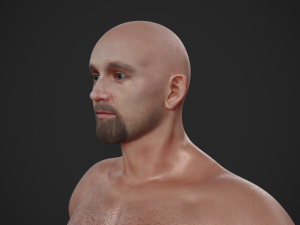 rigged textured male basemesh 3D मॉडल