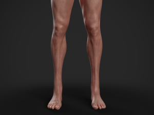 rigged textured male basemesh 3D मॉडल