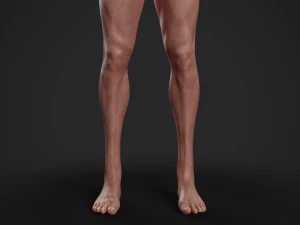 basemesh masculino texturizado manipulado Modelo 3D