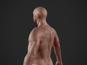 rigged textured male basemesh 3D मॉडल