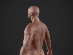 basemesh masculino texturizado manipulado Modelo 3D