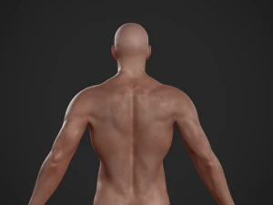 basemesh masculino texturizado manipulado Modelo 3D