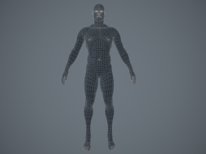rigged textured male basemesh 3D मॉडल