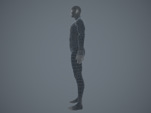 rigged textured male basemesh 3D मॉडल
