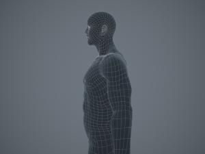 rigged textured male basemesh 3D मॉडल