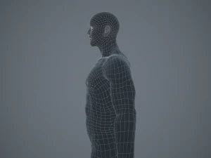 basemesh masculino texturizado manipulado Modelo 3D