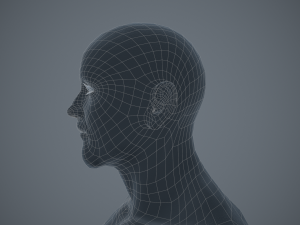 rigged textured male basemesh 3D मॉडल