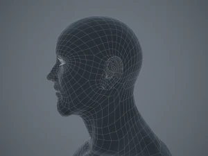 basemesh masculino texturizado manipulado Modelo 3D