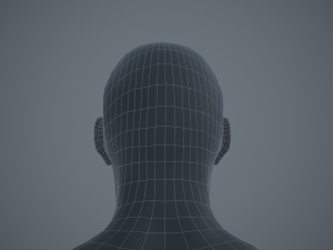 rigged textured male basemesh 3D मॉडल