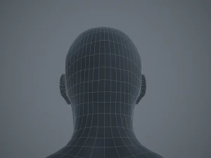 basemesh masculino texturizado manipulado Modelo 3D