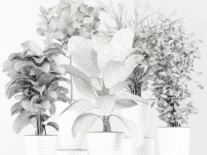 plant collection01 3D Model