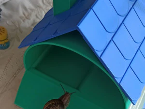 snail house 3D Print Model