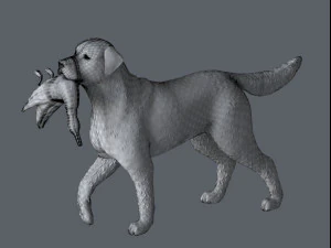 Labrador figure for 3d print 3D Print Model