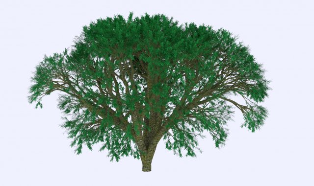 bush Modèle 3D .c4d .max .obj .3ds .fbx .stl .blend 