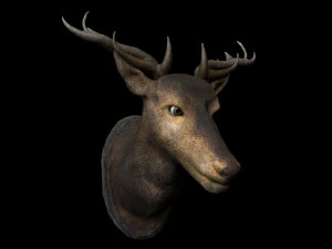 3d deer head model low-poly 3D Model