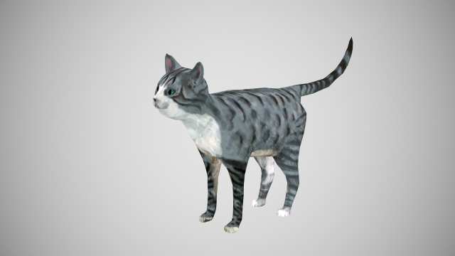 cat american shorthair 3D Model .c4d .max .obj .3ds .fbx .stl .blend 
