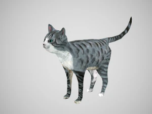 gatto a pelo corto americano Modello 3D