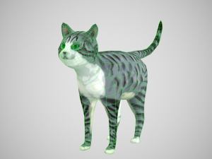 cat american shorthair 3D Model