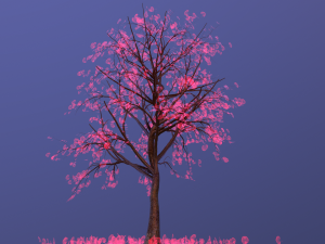 bark 3D Model
