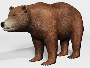 brown bear - low-poly Model 3D