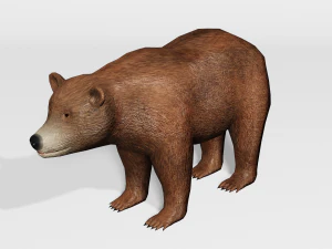 orso bruno - basso numero di poligoni Modello 3D