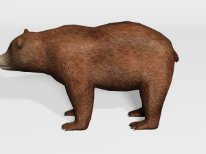orso bruno - basso numero di poligoni Modello 3D