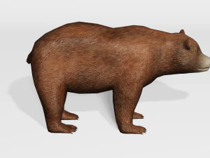 orso bruno - basso numero di poligoni Modello 3D
