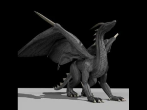 drago Modello 3D