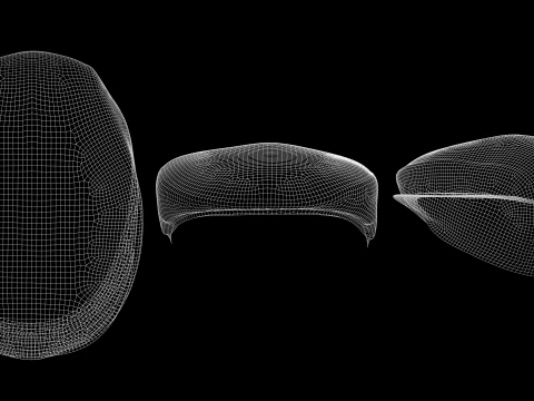 クラシック キャップ パック - mv2 zpac obj fbx highpoly 3Dモデル
