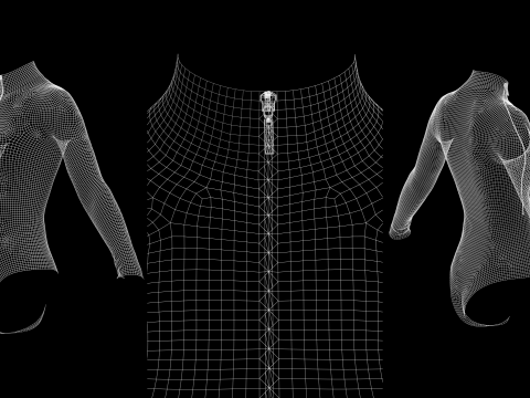 LONG SLEEVE BODYSUITS PACK - fv2 zpac obj fbx highpoly Modelo 3D