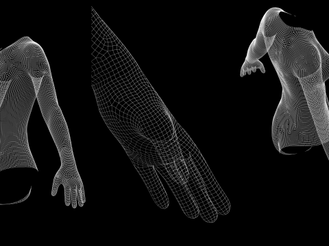 LONG SLEEVE BODYSUITS PACK - fv2 zpac obj fbx highpoly Modelo 3D