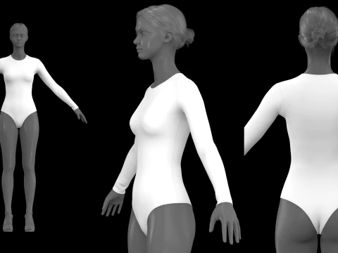 LONG SLEEVE BODYSUITS PACK - fv2 zpac obj fbx highpoly 3D Model