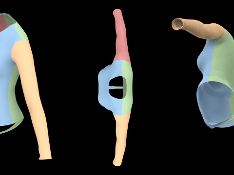 LONG SLEEVE BODYSUITS PACK - fv2 zpac obj fbx highpoly 3D Model