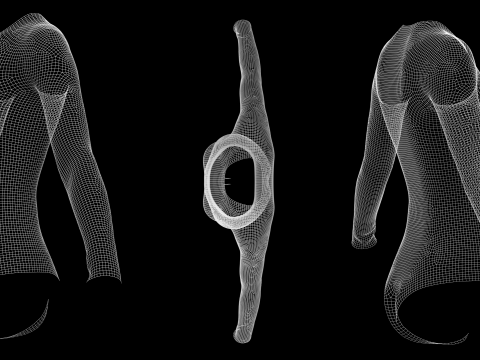 LONG SLEEVE BODYSUITS PACK - fv2 zpac obj fbx highpoly Modelo 3D