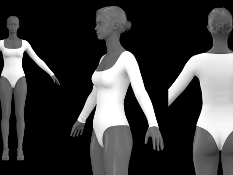 LONG SLEEVE BODYSUITS PACK - fv2 zpac obj fbx highpoly 3D Model