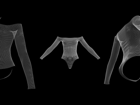 LONG SLEEVE BODYSUITS PACK - fv2 zpac obj fbx highpoly Modelo 3D
