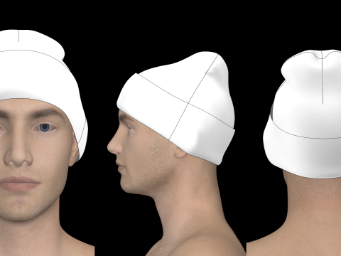 BASIC BEANIES PACK - g8m zpac obj fbx highpoly 3Dモデル